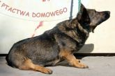 01.07.2013 WARTA SUKA 57240